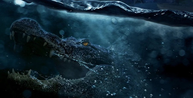 “Crawl : Địa đạo cá sấu tử thần” hé lộ điều gì về phần tiếp theo? - Ảnh 2.