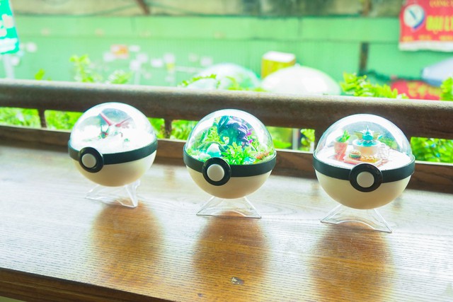 PokeCraft: Những trái Pokeball đẹp lung linh của nhóm bạn yêu Pokemon - Ảnh 1.