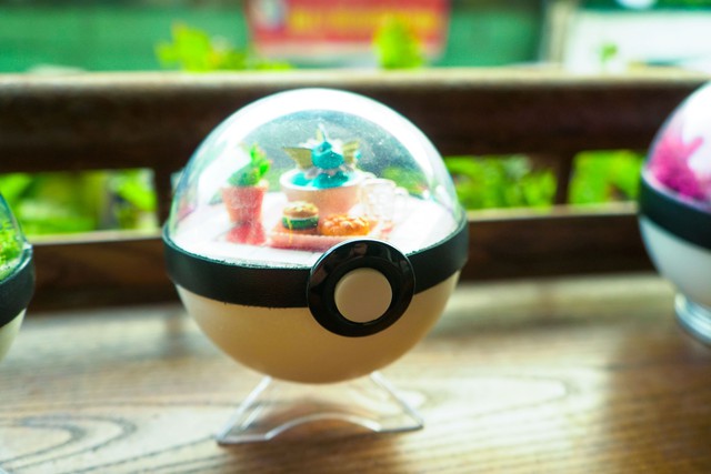 PokeCraft: Những trái Pokeball đẹp lung linh của nhóm bạn yêu Pokemon - Ảnh 4.