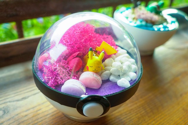 PokeCraft: Những trái Pokeball đẹp lung linh của nhóm bạn yêu Pokemon - Ảnh 6.