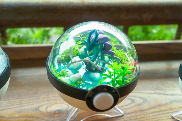 PokeCraft: Những trái Pokeball đẹp lung linh của nhóm bạn yêu Pokemon - Ảnh 7.