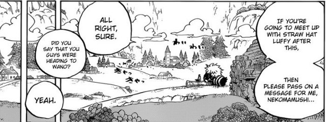 One Piece: Lý do Nekomamushi đến hội ngộ với các Cửu Hồng Bao ở Wano muộn? Chuyện gì đã xảy ra? - Ảnh 1.