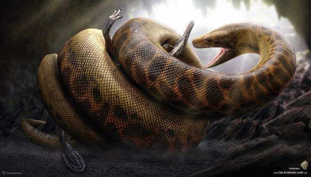 Trăn khổng lồ Titanoboa: Con quái vật có thể nuốt chửng cả khủng long - Ảnh 1.