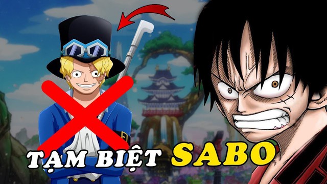One Piece: Cái chết của Sabo là một mũi tên trúng vài cái đích của Chính phủ thế giới? - Ảnh 7.