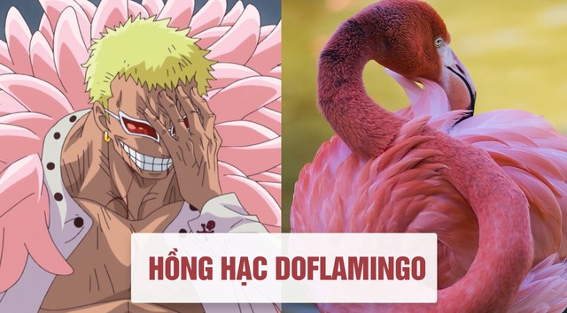 One Piece: Tên của các nhân vật và loài vật tương ứng với họ ở đời thật - Ảnh 5.