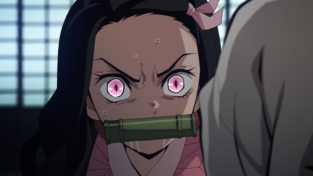 Anime Kimetsu no Yaiba tập 22: Đừng vội trách các Trụ cột, việc muốn giết Nezuko đều có lý do cả! - Ảnh 6.