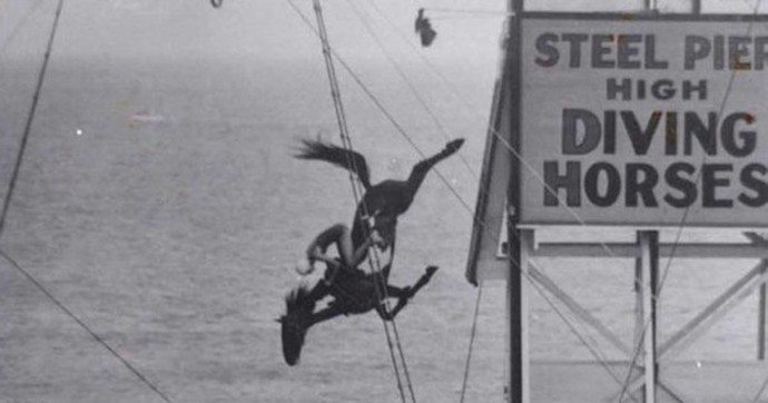 Ngựa lặn: Một trong những môn thể thao nguy hiểm nhất hành tinh thế kỷ trước