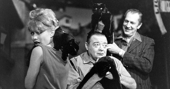 Những bức ảnh hiếm về cuộc tuyển chọn diễn viên mèo của Hollywood năm 1961