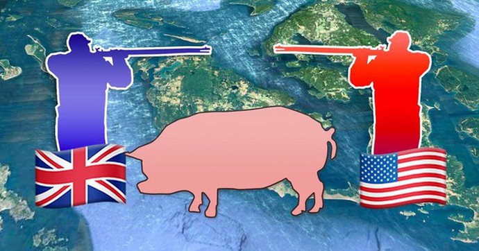 Suýt nổ ra chiến tranh chỉ vì một con lợn