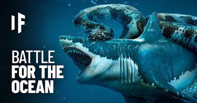 Điều Gì Sẽ Xảy Ra Nếu Cá Mập Megalodon Chiến Đấu Với Loài Trăn Khổng Lồ