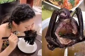 Đại dịch corona: Nữ MC Trung Quốc bị tẩy chay, cựu sao TVB bức xúc vì bị ép ăn thịt dơi