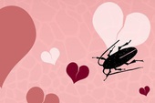 Dịch vụ đặc biệt cho những trái tim tan vỡ vào Valentine: Đặt tên người yêu cũ cho gián rồi để nó làm bữa tối của các con vật khác