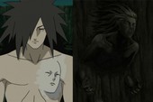 Naruto: Kéo dài tuổi thọ và 5 hiệu ứng tuyệt vời đã được tận dụng từ tế bào Hashirama