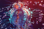 Tìm hiểu về Virus – Những thực thể “sống lỗi” nhất trên Trái Đất