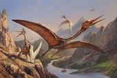Thằn lằn bay Quetzalcoatlus – Sinh vật khiến khủng long T-rex phải khiếp sợ
