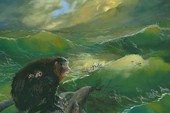 Phát hiện chấn động: Đàn khỉ dùng bè vượt gần 1500km qua Đại Tây Dương để tới Nam Mỹ 34 triệu năm trước