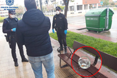 Tây Ban Nha: bắt giữ người đàn ông vi phạm cách ly xã hội với lí do "ra đường dắt cá vàng đi dạo"