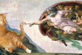 Chết cười loạt ảnh chế mèo béo trở thành "nàng thơ" trong các bức họa nổi tiếng