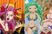 One Piece: Một thành viên trong Tobi Roppo có mối liên hệ mật thiết với đảo Amazon Lily của Boa Hancock?