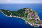 Hòn đảo nguy hiểm nhất thế giới: Quê nhà của hơn 400 nghìn con rắn, lỡ đặt chân vào xem như không có đường ra