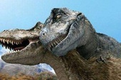 Nghiên cứu mới cho thấy khủng long bạo chúa Tyrannosaurus dựa vào giác quan thứ sáu để "yêu"?