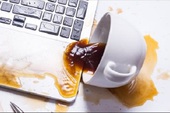 Cần làm gì để cứu laptop nếu nhỡ tay làm đổ nước hay cà phê?
