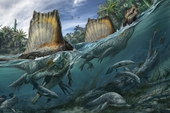 Top 5 điều thú vị xoay quanh Spinosaurus - kẻ săn mồi đáng sợ ngang cơ cả T-REX