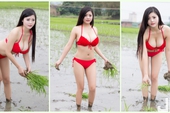 Mặc bikini đi trồng lúa, bón phân, cô nàng hot girl nhận muôn vàn chỉ trích từ phía cộng đồng mạng
