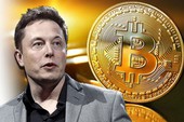 Bitcoin phá mốc cao nhất lịch sử, Elon Musk “bơi” trong tiền