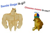 Swole Doge vs. Cheems là gì và vì sao meme về những chú chó này lại nổi tiếng?