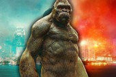 Godzilla Vs. Kong: Những điểm mạnh và yếu chưa từng được tiết lộ của Titan King Kong