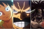 One Piece: 4 đặc điểm giống nhau giữa những người sở hữu Haki bá vương