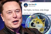 Bạn gái bảo Elon Musk hay "trẻ trâu" trên MXH, dân tình rần rần phản đối, hài hước bảo rằng cứ nhìn giá Bitcoin là biết