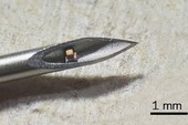 Con chip nhỏ nhất thế giới, nằm gọn trong mũi kim để tiêm vào cơ thể