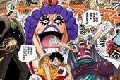 One Piece: Ngoại trừ các thành viên băng Mũ Rơm, đây là 8 nhân vật có vinh dự được "não cao su" Luffy nhớ tên