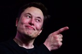 Elon Musk bị "đồn" quan tâm tới NFT của phim 18+, được mời gọi quay và sản xuất "phim nóng" với giá kỷ lục, gần 170 tỷ