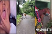 Tại sao "xin vĩnh biệt cụ" trở thành meme được yêu thích nhất quý III năm 2021, được sử dụng rất nhiều trên TikTok?