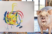 Bất ngờ xuất hiện chú lợn Pig Caso vẽ tranh "đẹp" không kém người thật, bán một bức kiếm hơn 600 triệu khiến CĐM ngỡ ngàng