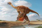 Phát hiện loài khủng long giống 'đà điểu khổng lồ' từng sinh sống cách đây 85 triệu năm!