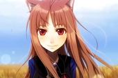 Loạt light novel nổi tiếng Spice & Wolf chính thức được chuyển thể thành anime