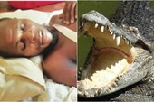 Bị đàn cá sấu ba con tấn công, nam thanh niên khiến CĐM sửng sốt khi dìm một chết đuối, dọa hai con "ôm đầu máu" chạy về
