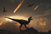 Vì sao gián có thể sống sót khi thiên thạch xóa sổ khủng long?
