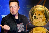 Elon Musk bị kiện tại Mỹ vì liên quan đến Dogecoin