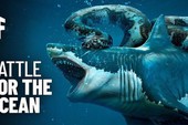 Điều gì sẽ xảy ra nếu cá mập Megalodon chiến đấu với loài trăn khổng lồ Titanoboa?