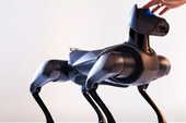 Xuất hiện chó robot làm trợ lý ảo, giá "không tưởng"