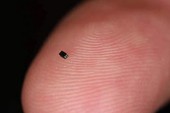 Xuất hiện camera nhỏ nhất thế giới, chỉ bằng một hạt muối