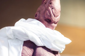 Dragon Ball: Super Buu trở nên đáng sợ hơn qua bộ ảnh cosplay chân thực