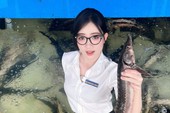 Giải mã "Cô Giáo Đầm": Công thức viral tạo nên sức hút khó cưỡng