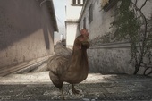 Chết vì gà trong Counter Strike