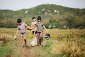 Cảm nhận Tôi Thấy Hoa Vàng Trên Cỏ Xanh – Phim Việt Nam hot trước ngày công chiếu